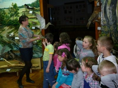 У кого какие клювы?
